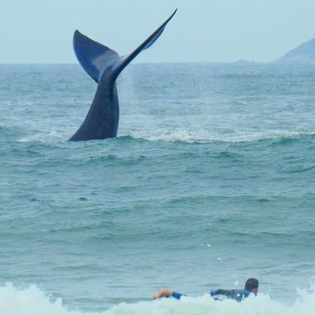 Tranquilidade Na Praia Da Gamboa Garopaba Dış mekan fotoğraf